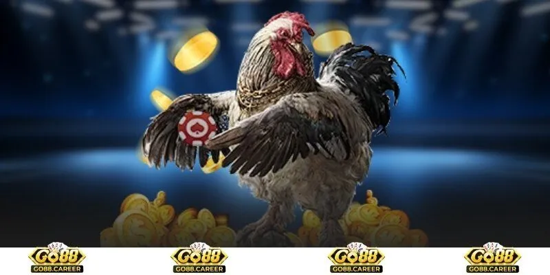 Điểm qua một số trường gà lớn trong khu vực Châu Á